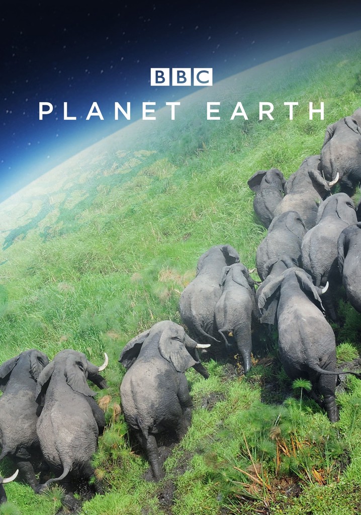Regarder la série Planète Terre streaming